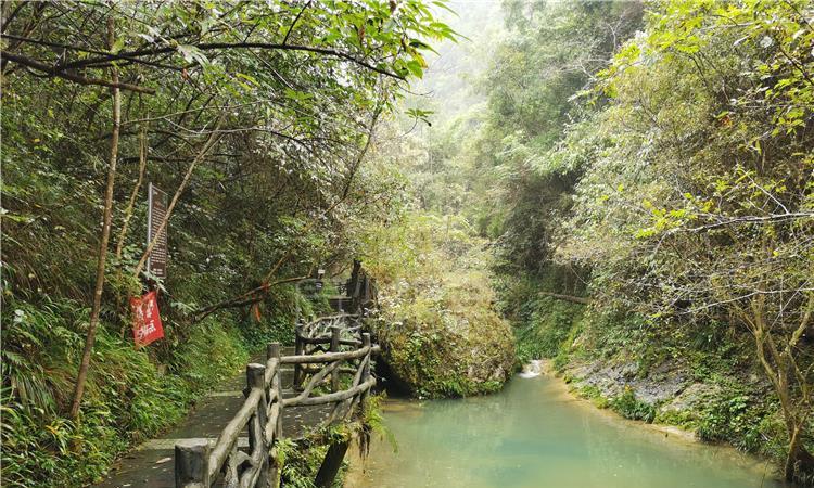 尼弗卡拉遗址